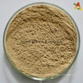 Extrato de grão de café verde Chlorogenic Acids Powder